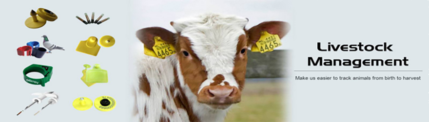 Hot Sales Animals RFID Tags for Livestock Management